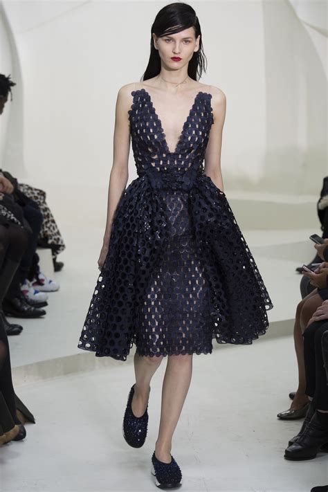 Christian Dior: Spring 2014 Couture 